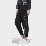 Штани Adidas W FV Trackpant DW7766_image_2