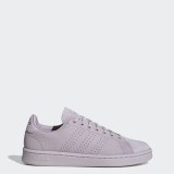 Кроссовки для тенниса Adidas Advantage EE7493_image_1