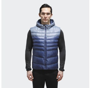 Мужской жилет Adidas Hooded CV6074