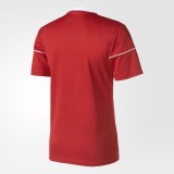 Мужская футболка Adidas Squad 17 JSY SS BJ9174_image_2