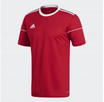 Мужская футболка Adidas Squad 17 JSY SS BJ9174_image_13