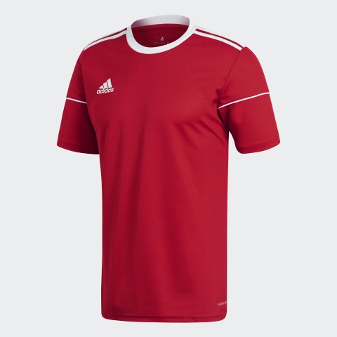 Мужская футболка Adidas Squad 17 JSY SS BJ9174_image_1