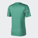 Мужская футболка Adidas Squad 17 JSY SS BJ9179_image_2