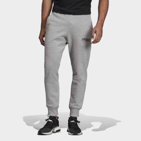 Мужские брюки Adidas Kaval DV1931_image_1