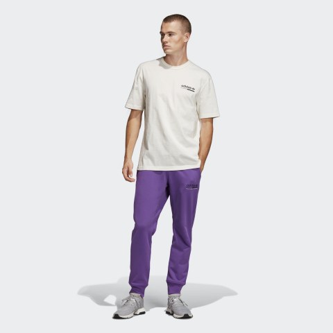 Мужские брюки Adidas Kaval Graphic DV1946_image_5