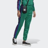 Жіночі брюки Adidas Floral ED4766_image_5