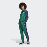 Жіночі брюки Adidas Floral ED4766_image_1