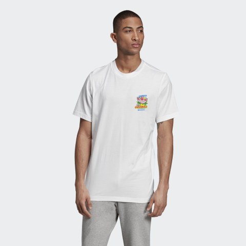 Мужская футболка Adidas Bodega Popsicle ED7062_image_1