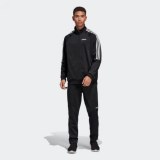 Чоловічий спортивний костюм Adidas SERE19 SUIT DY3141_image_1