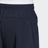 Мужские шорты Adidas E PLN Chelsea DU0375_image_5