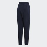 Мужские брюки Adidas E PLN Stanfrd DU0381_image_2