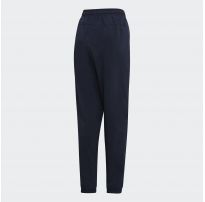 Мужские брюки Adidas E PLN Stanfrd DU0381_image_2