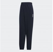 Мужские брюки Adidas E PLN Stanfrd DU0381_image_2