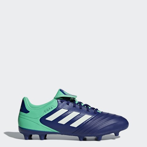 Мужские бутсы Adidas Copa 18.3 FG CP8959_image_1