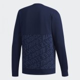 Толстовка Adidas M Fav Sweat Conavy DM4202_image_2