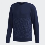 Толстовка Adidas M Fav Sweat Conavy DM4202_image_1