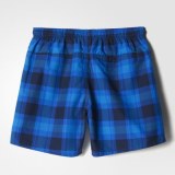 Пляжные шорты Adidas Checked Water BJ9620_image_2