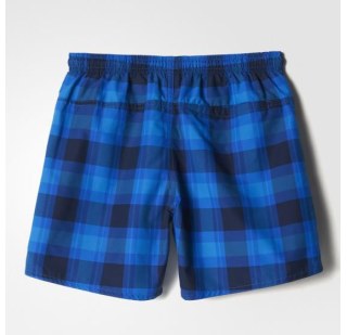Пляжные шорты Adidas Checked Water BJ9620