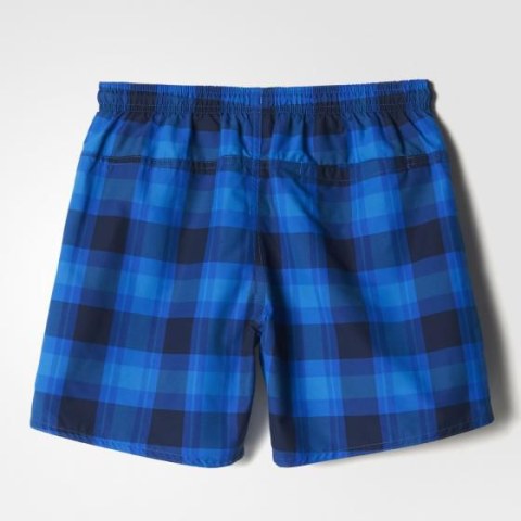 Пляжные шорты Adidas Checked Water BJ9620_image_2
