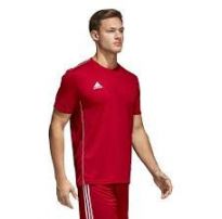 Футболка Adidas Core Training CV3452_image_4