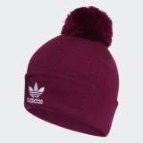 Шапка Adidas Adicolor Originals GD4581_image_1