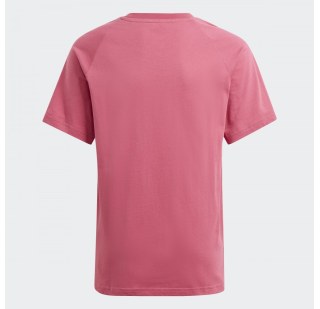 Футболка Adidas Adicolor Graphic GN7436