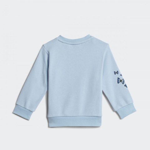 Спортивный костюм Adidas CREW SET H22604_image_7