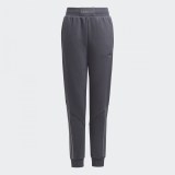 Брюки adidas SPRT H31215_image_1