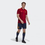 Домашні шорти збірної Іспанії adidas Performance EH4210_image_4