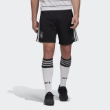 Домашние шорты сборной Германии adidas Performance FS7590_image_1