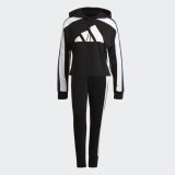 Спортивний костюм Adidas W TS BIG LOGO GL9482_image_3