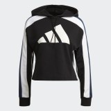 Спортивний костюм Adidas W TS BIG LOGO GL9482_image_5
