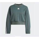 Толстовка Adidas Future Icons IS3879_image_1