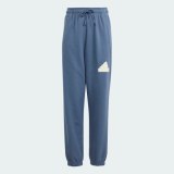 Спортивные брюки Adidas Future Icons Logo IS4395_image_1