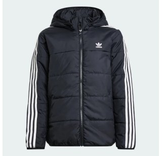 Куртка Adidas Adicolor Kids IY7497