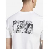 Футболка мужская Adidas Messi Icon Graphic JJ1414_image_3