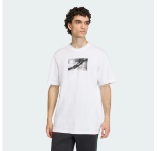 Футболка Adidas Originals Franchise KS7615