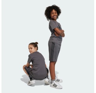 Шорты Adidas Adicolor IJ9731