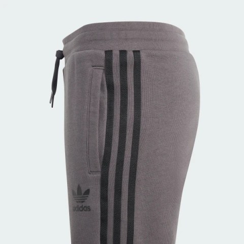 Шорты Adidas Adicolor IJ9731_image_3