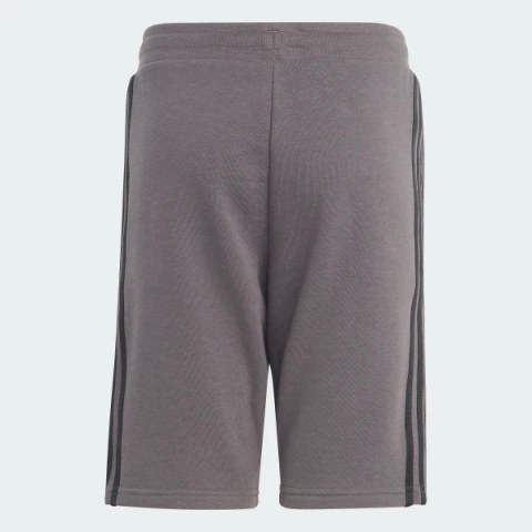 Шорты Adidas Adicolor IJ9731_image_7