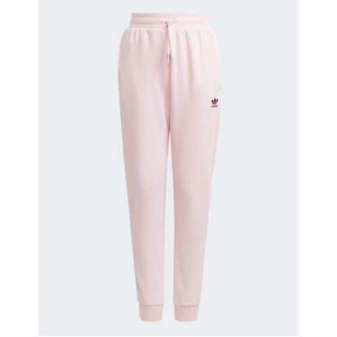 Детские штаны Adidas Originals IJ9797_image_1