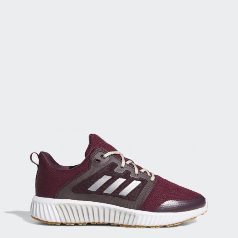 Утеплені бігові кросівки Adidas Climawarm EF1299_image_1