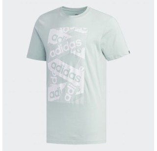 Мужская футболка Adidas Logo Laces FM6244