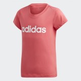 Дитяча футболка Adidas Essentials Linear EH6172_image_1