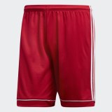 Мужские шорты Adidas Squadra 17 BJ9226_image_1