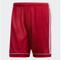 Мужские шорты Adidas Squadra 17 BJ9226_image_9