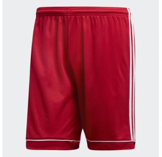 Мужские шорты Adidas Squadra 17 BJ9226