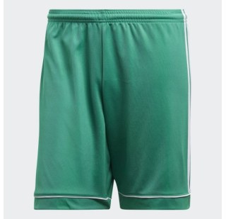 Мужские шорты Adidas Squadra 17 BJ9231