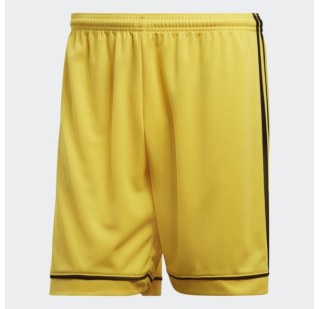 Мужские шорты Adidas Squadra 17 BK4761