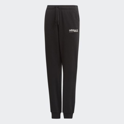 Дитячі штани Adidas Kaval DV2378_image_1